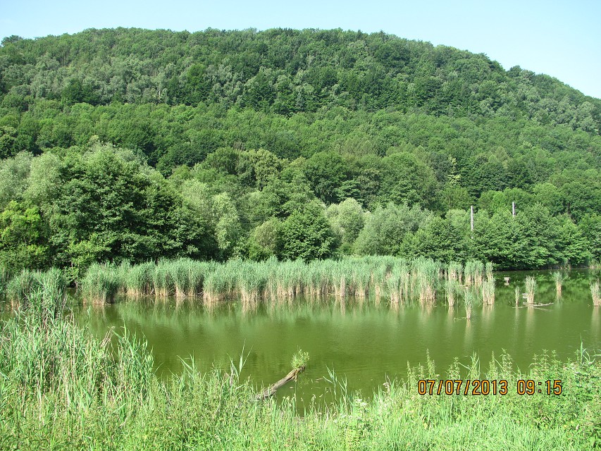 img00111.jpg