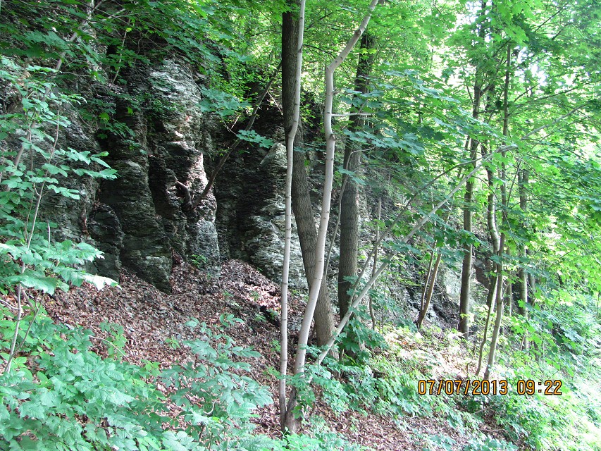 img00112.jpg