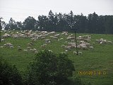 thn00011.jpg