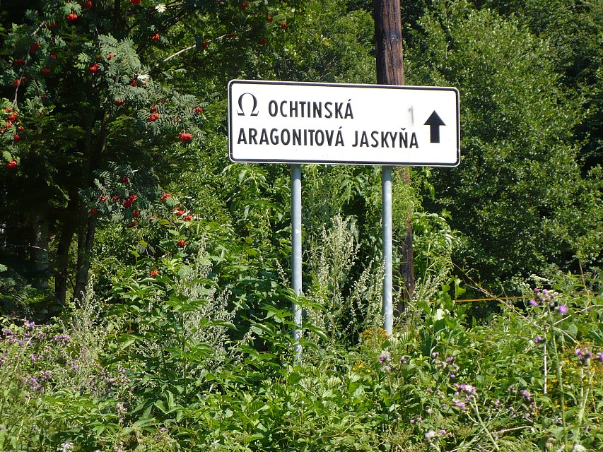 img00006.jpg
