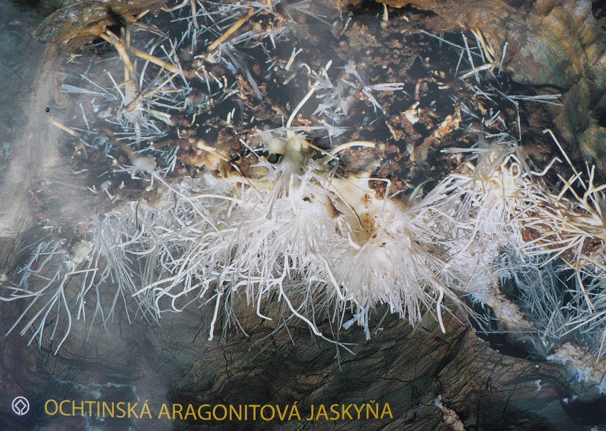 img00007.jpg