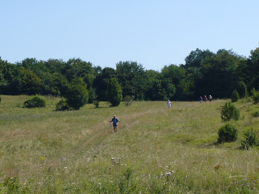 img00012.jpg
