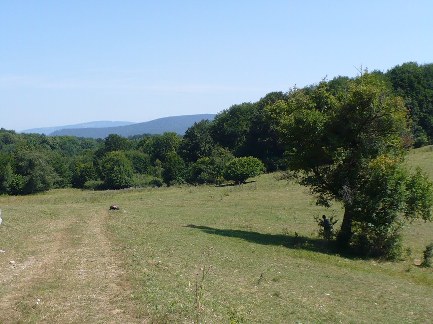 img00016.jpg