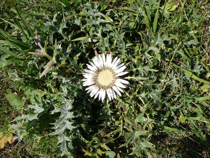 img00018.jpg