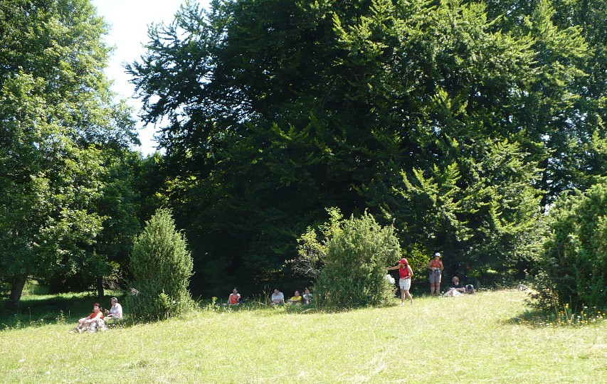 img00021.jpg