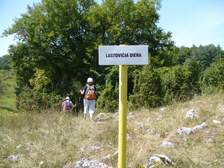 img00027.jpg