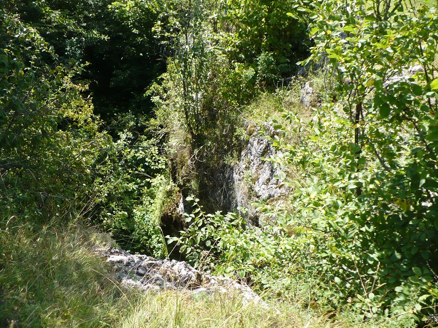 img00029.jpg