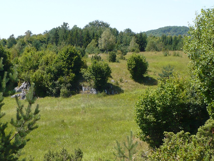 img00030.jpg