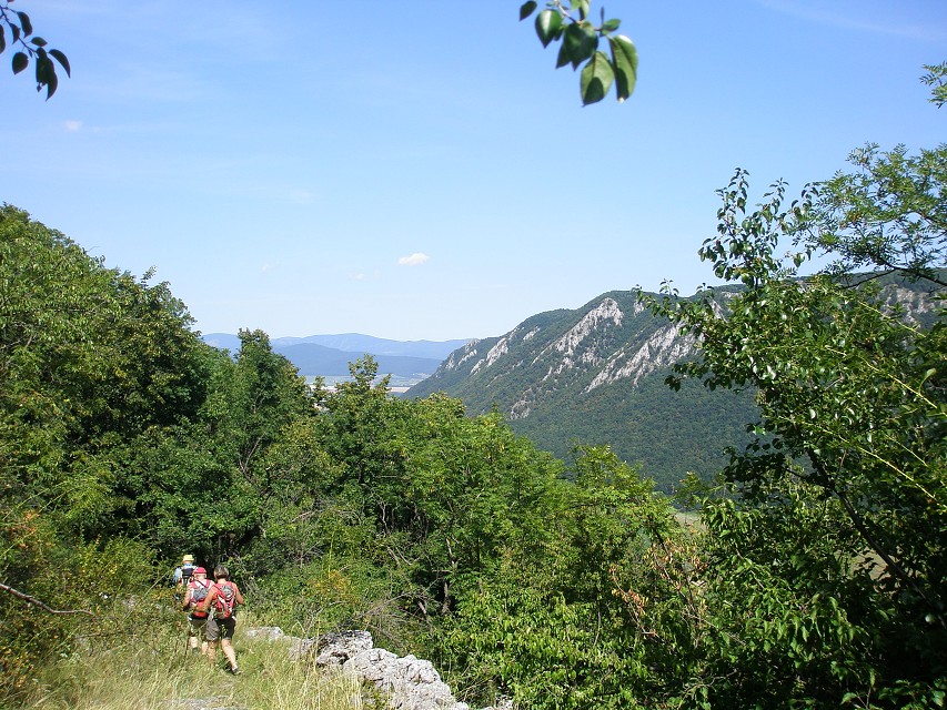 img00032.jpg