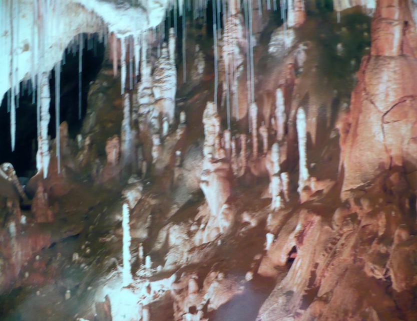 img00036.jpg
