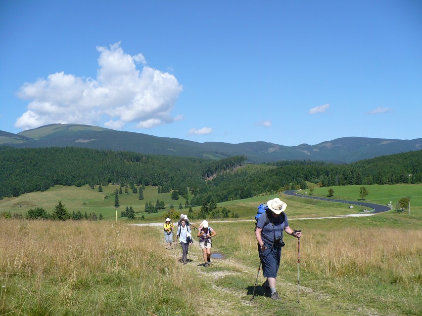 img00044.jpg
