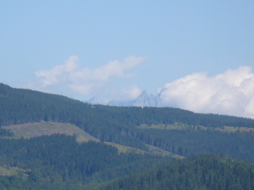 img00046.jpg