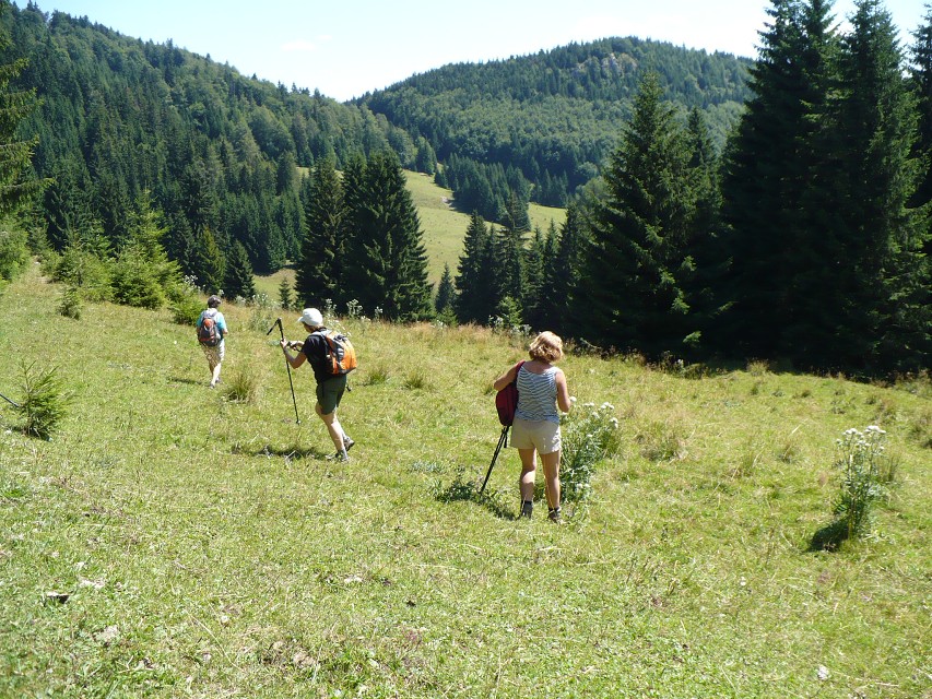 img00053.jpg