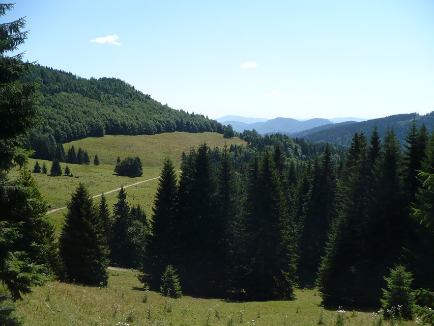 img00056.jpg