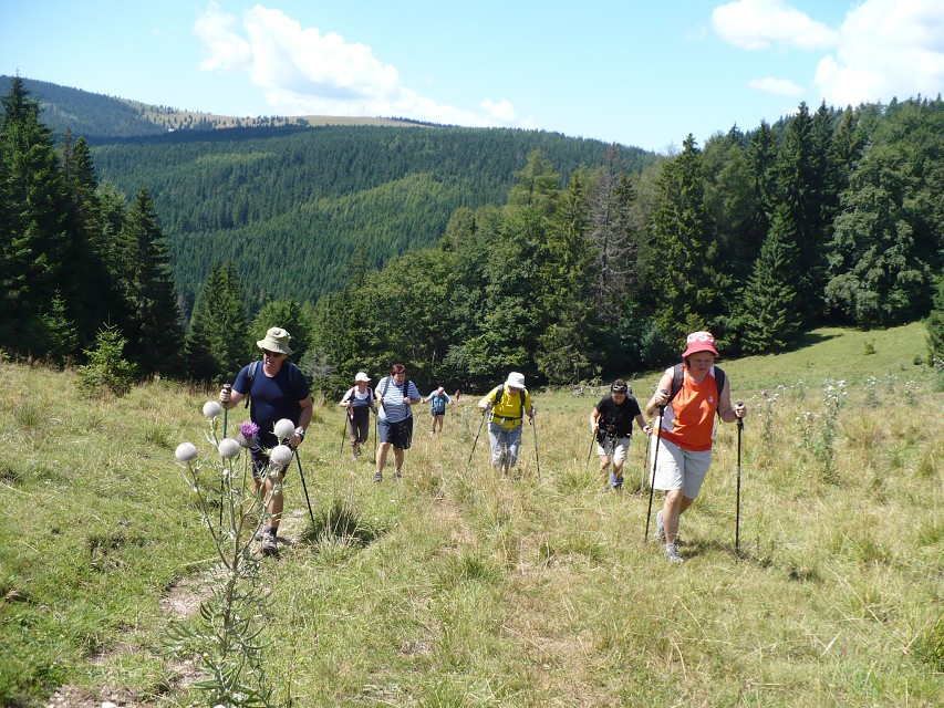img00058.jpg