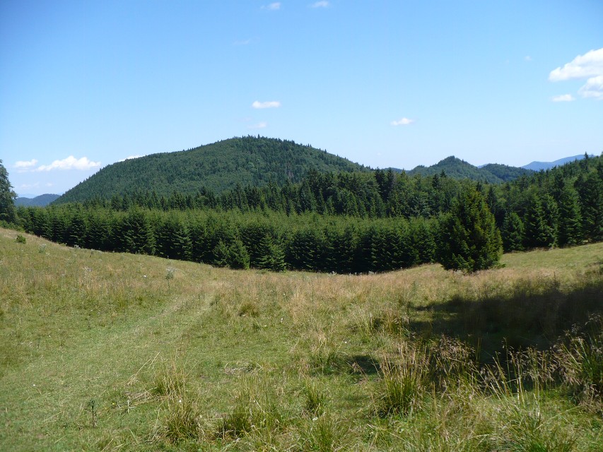img00059.jpg