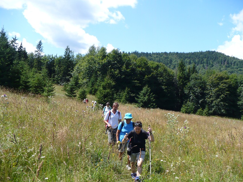 img00060.jpg