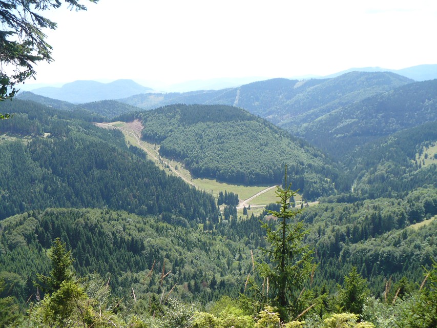 img00062.jpg