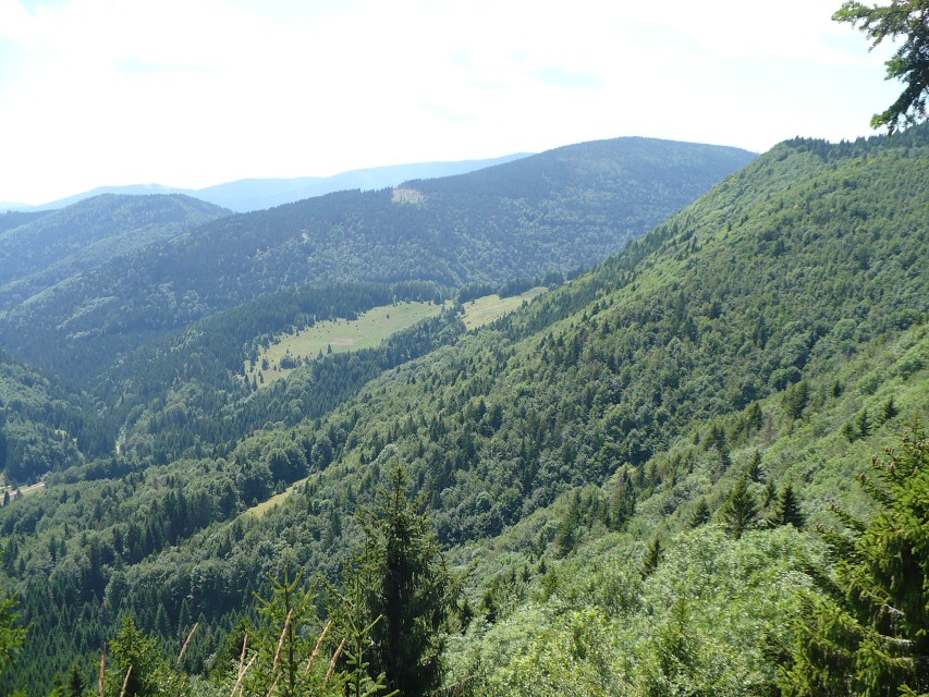 img00063.jpg