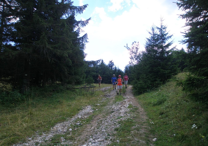 img00073.jpg