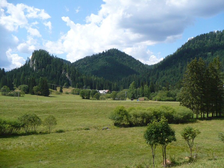 img00074.jpg