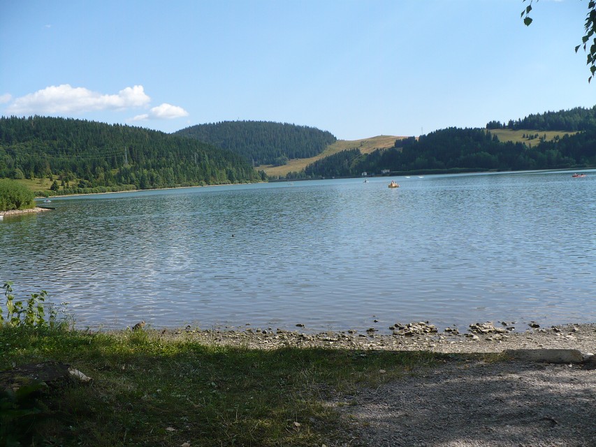 img00080.jpg