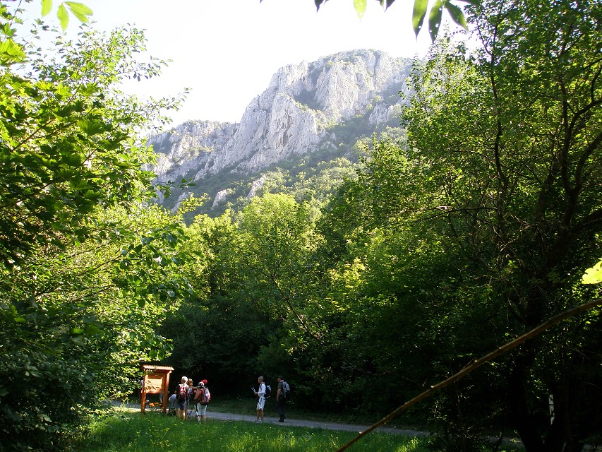 img00083.jpg
