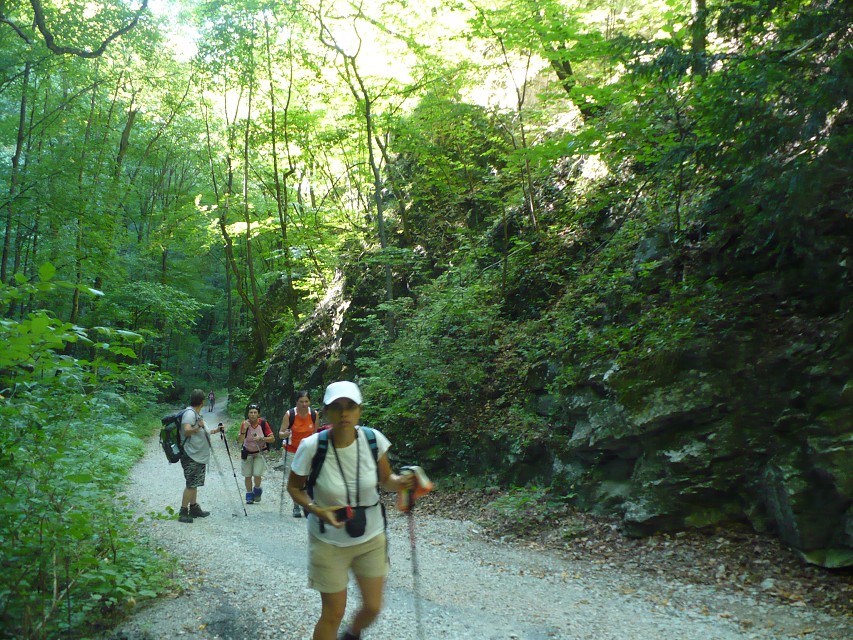 img00084.jpg