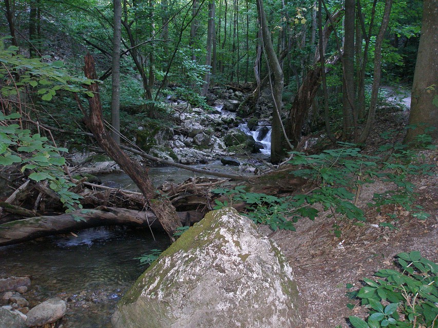 img00086.jpg