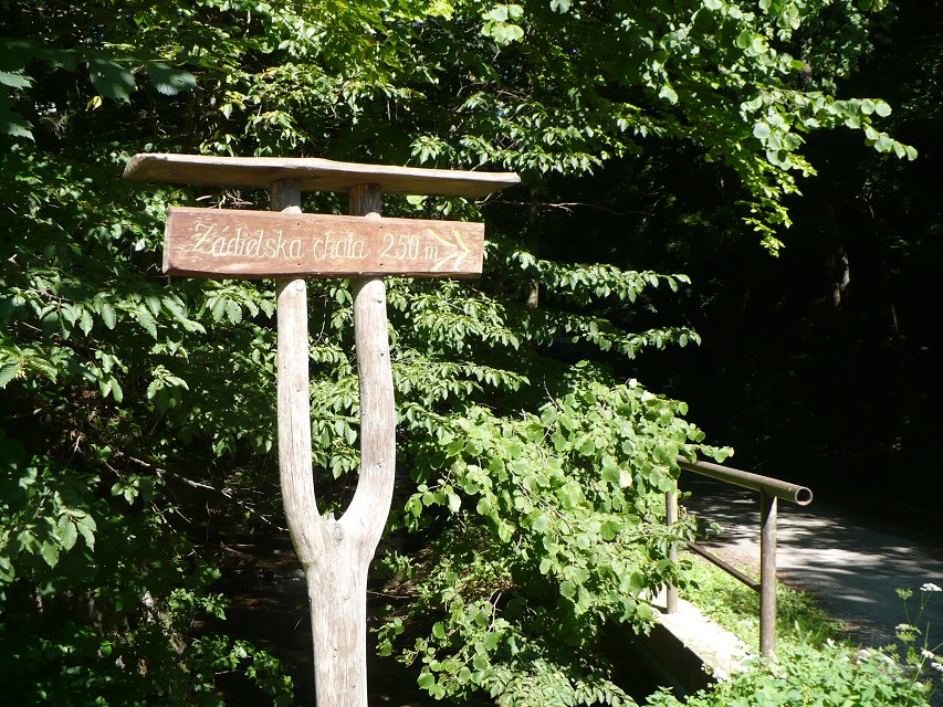 img00087.jpg