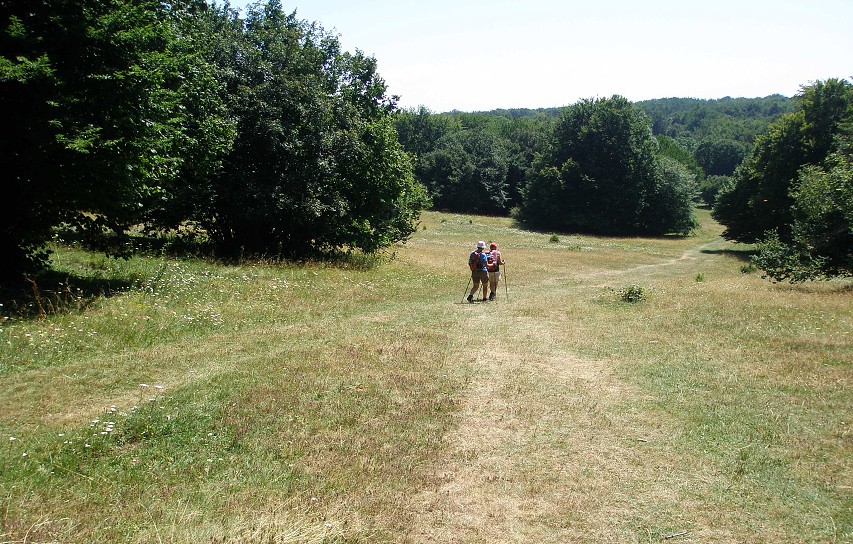 img00092.jpg