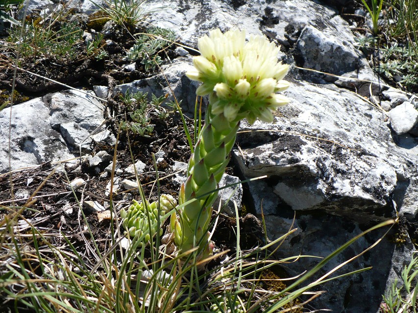 img00097.jpg