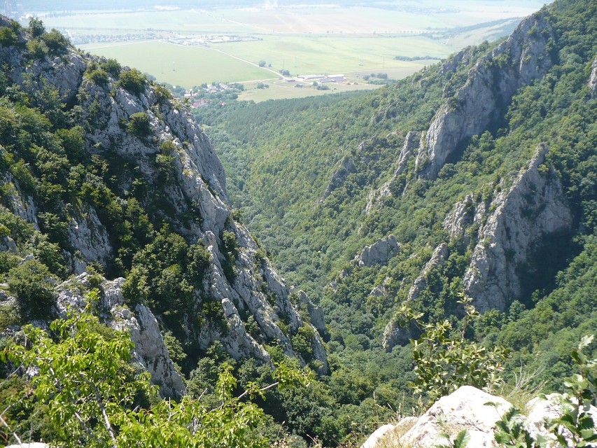 img00099.jpg