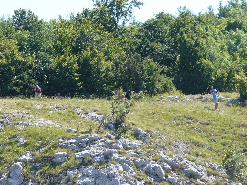 img00101.jpg