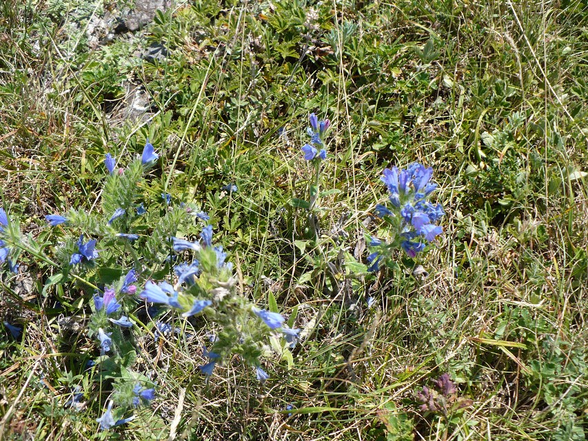 img00107.jpg