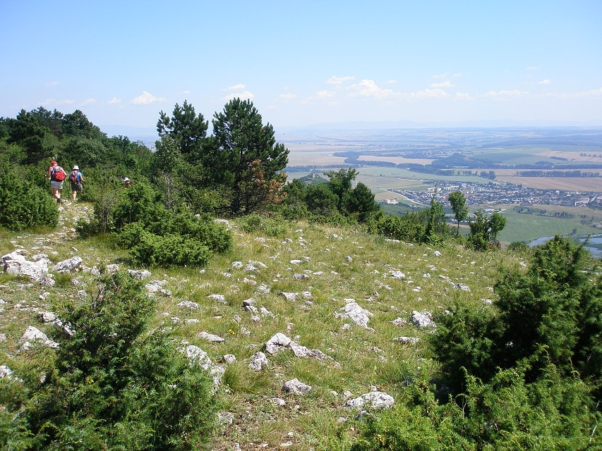 img00109.jpg
