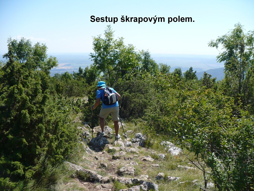 img00112.jpg