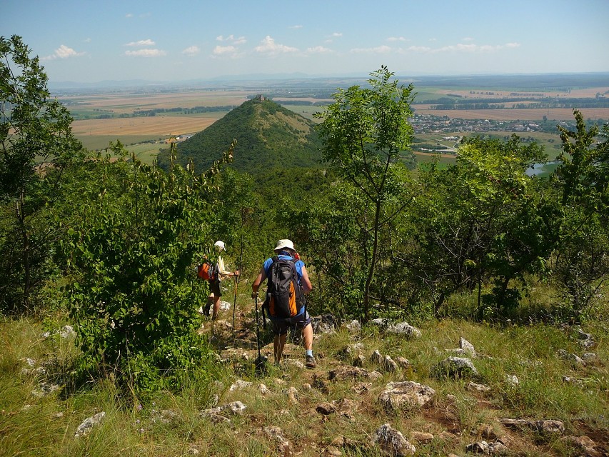 img00113.jpg