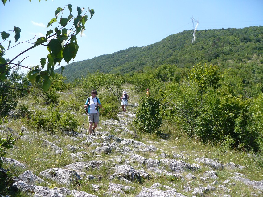 img00115.jpg