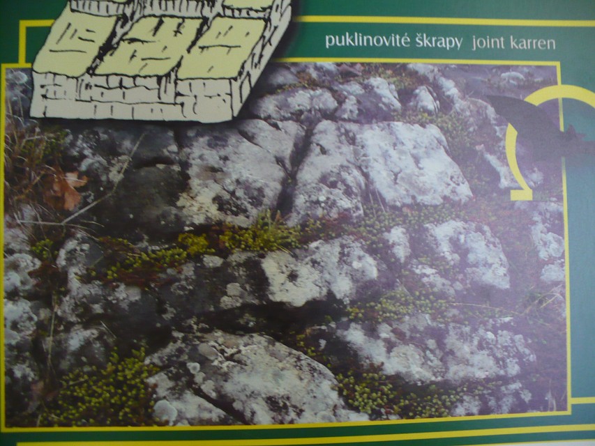img00116.jpg