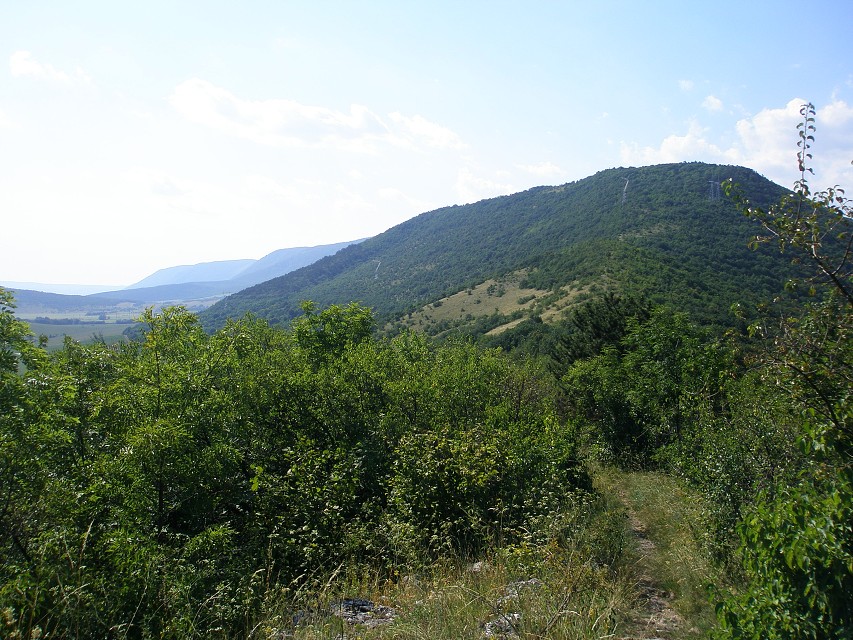 img00117.jpg