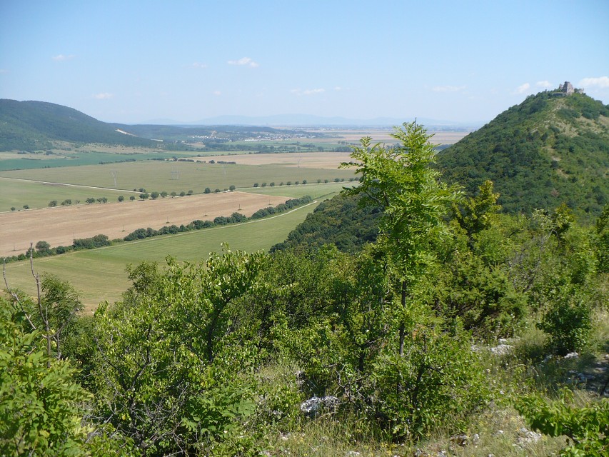 img00118.jpg