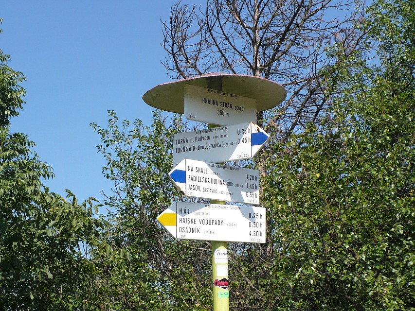 img00120.jpg