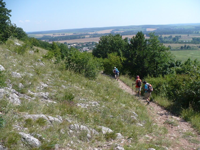 img00122.jpg