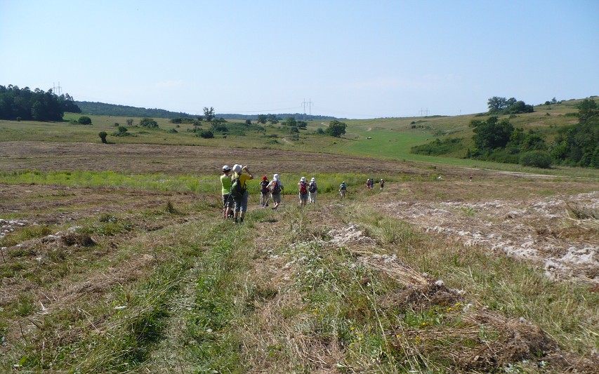img00137.jpg