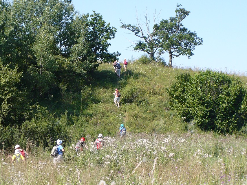 img00138.jpg