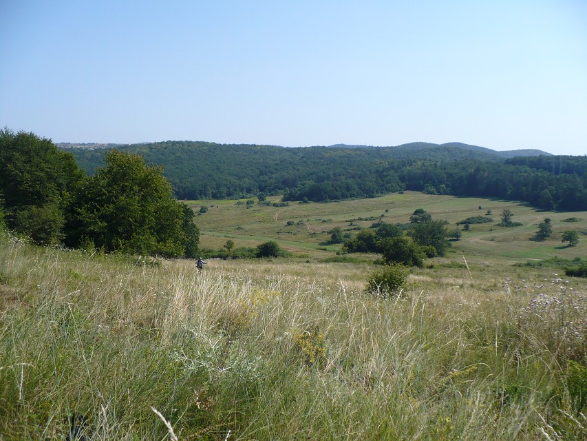 img00139.jpg