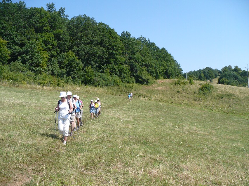 img00143.jpg