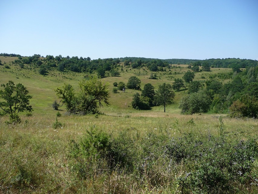 img00148.jpg