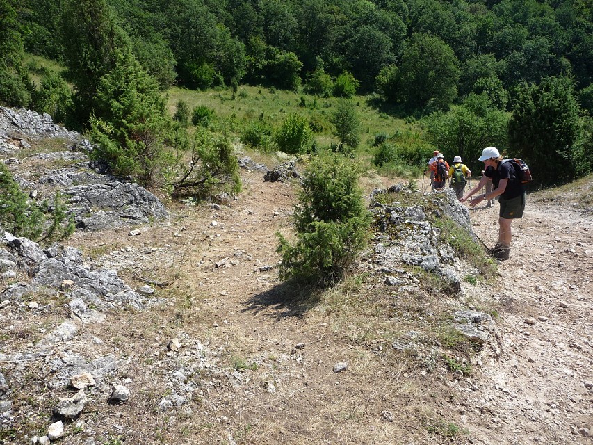 img00149.jpg